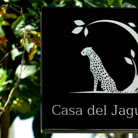 Casa Del Jaguar Beach Hotel Isla Mujeres Exterior photo