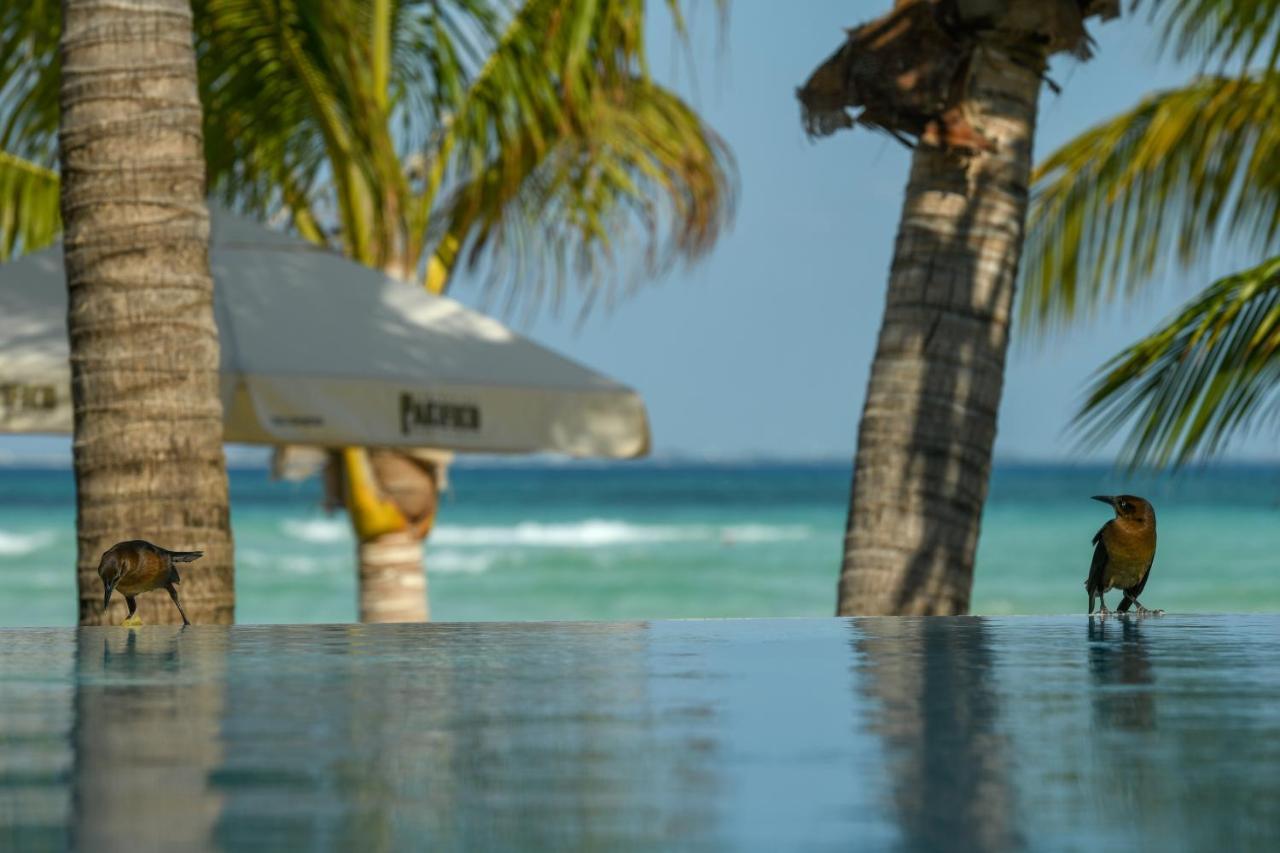 Casa Del Jaguar Beach Hotel Isla Mujeres Exterior photo